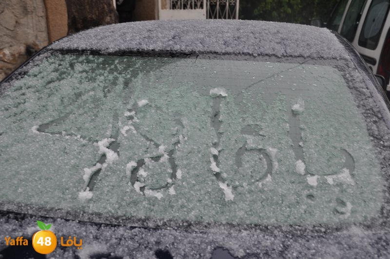 iceman lud 1213 (15).JPG